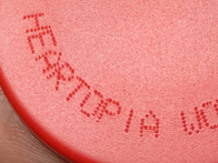 2026/2/24 トピックス